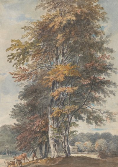 ブナの木と牛と羊を運転する男のいる風景 作： Paul Sandby